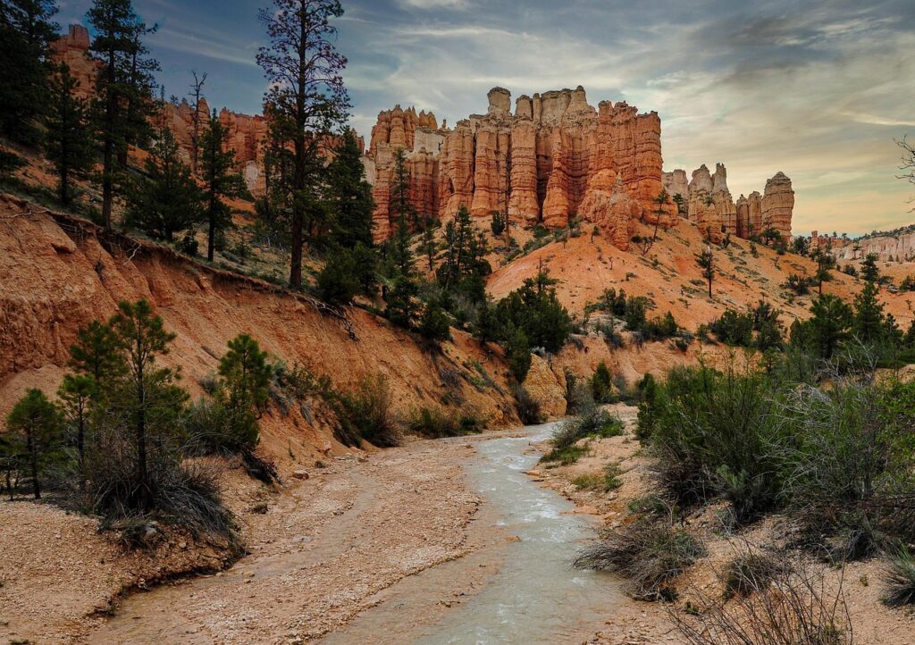 iDeCoの投信とETFを比較する際のポイントは？