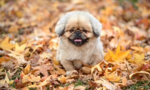 引っ越しで貯金がなくなる時の対策は？