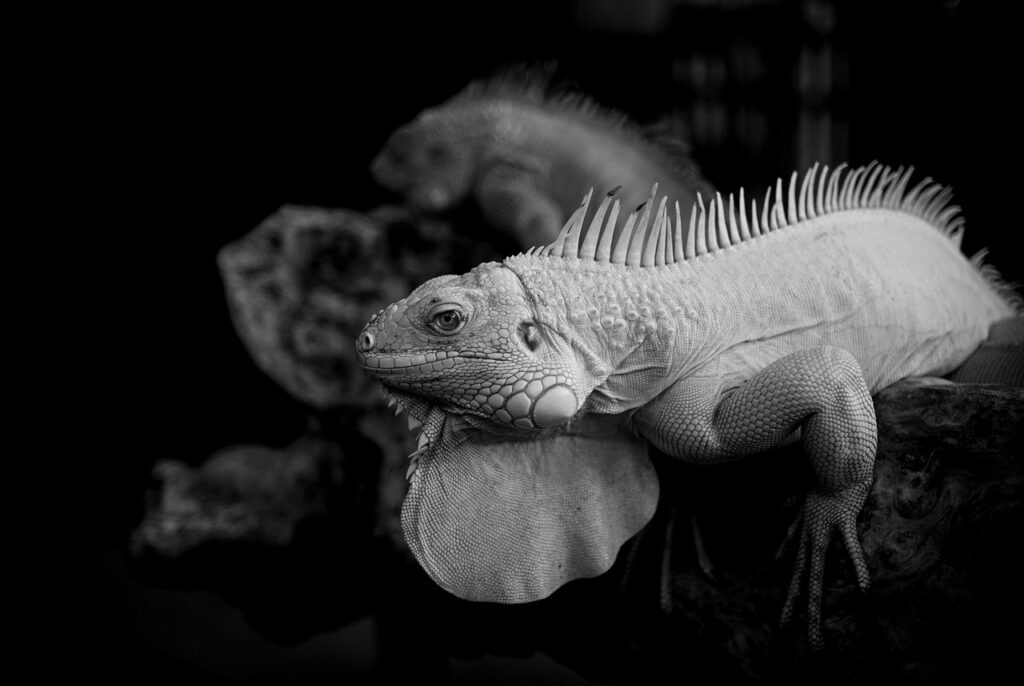 つみたてNISAを利用した老後資金はいくら貯まるのか？