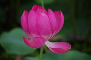 貯金ないけど引っ越したい場合の対策とおすすめプランは？