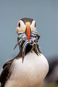 NISAの運用シミュレーションで資産形成を効率的に行う方法は？