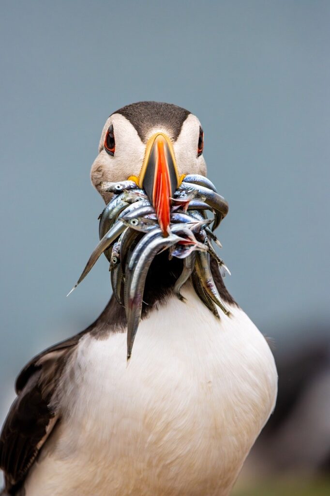 NISAの運用シミュレーションで資産形成を効率的に行う方法は？