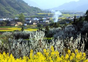 NISA口座の開設方法は初心者でも簡単にできる？