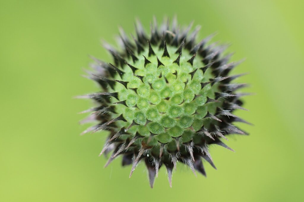 iDeCoは何歳までできるのか知りたい方へ！