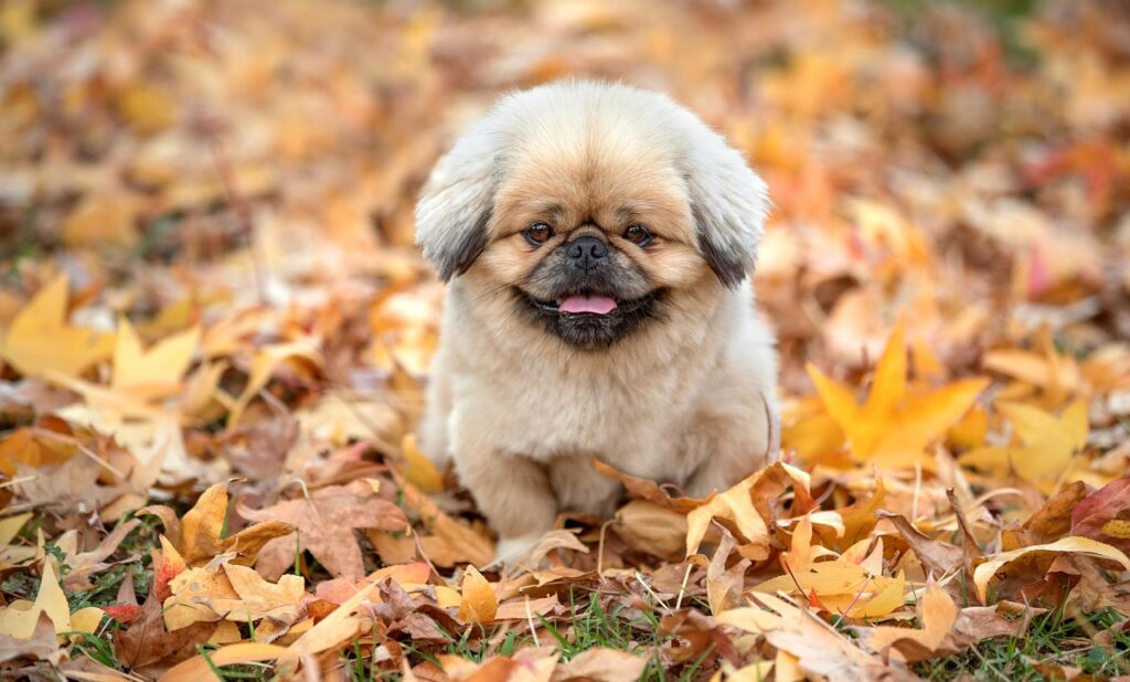 NISAの損益通算における考え方とは？